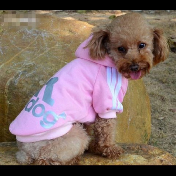 A dog adidog’s hoodie - Picture 2 of 2